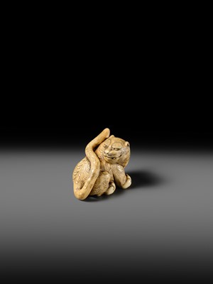 Lot 151 - A POWERFUL OSAKA SCHOOL IVORY NETSUKE OF A CROUCHING TIGER