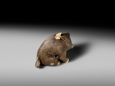 Lot 154 - RAKU: A SUPERB OSAKA SCHOOL IVORY NETSUKE OF A PUPPY AND BUTTERFLY