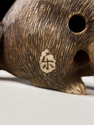 Lot 154 - RAKU: A SUPERB OSAKA SCHOOL IVORY NETSUKE OF A PUPPY AND BUTTERFLY