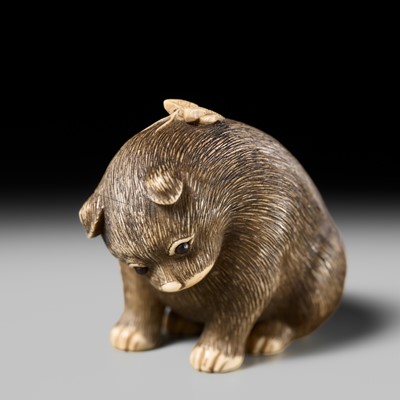 Lot 154 - RAKU: A SUPERB OSAKA SCHOOL IVORY NETSUKE OF A PUPPY AND BUTTERFLY