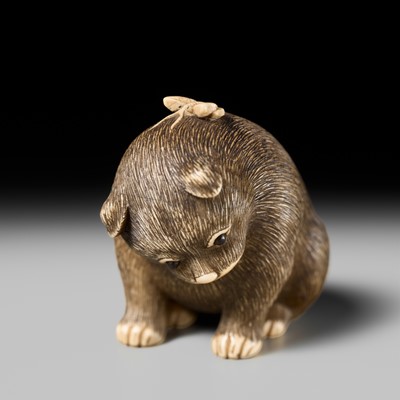 Lot 154 - RAKU: A SUPERB OSAKA SCHOOL IVORY NETSUKE OF A PUPPY AND BUTTERFLY