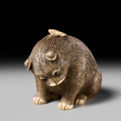 Lot 154 - RAKU: A SUPERB OSAKA SCHOOL IVORY NETSUKE OF A PUPPY AND BUTTERFLY