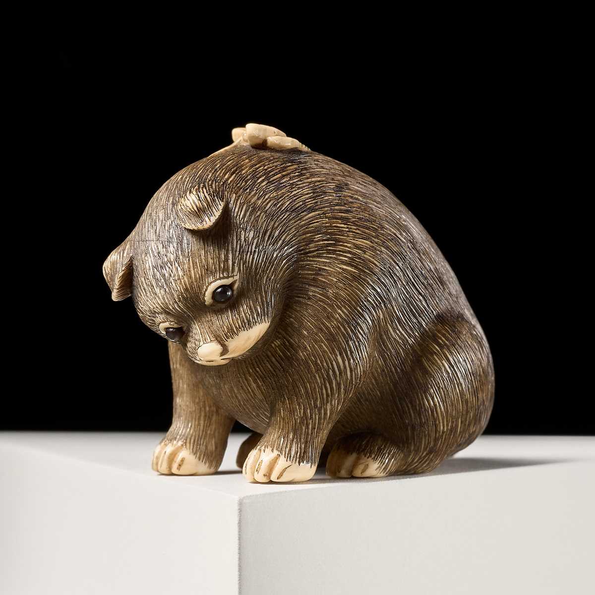 Lot 154 - RAKU: A SUPERB OSAKA SCHOOL IVORY NETSUKE OF A PUPPY AND BUTTERFLY