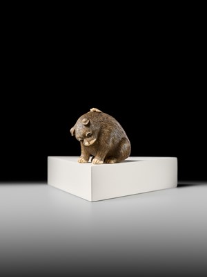 Lot 154 - RAKU: A SUPERB OSAKA SCHOOL IVORY NETSUKE OF A PUPPY AND BUTTERFLY