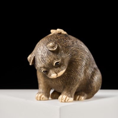 Lot 154 - RAKU: A SUPERB OSAKA SCHOOL IVORY NETSUKE OF A PUPPY AND BUTTERFLY