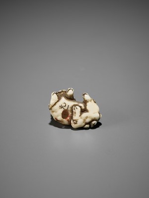 Lot 349 - A RARE MINIATURE IVORY SAGEMONO SET DEPICTING SHISHI AMONG PEONY, WITH EN SUITE NETSUKE AND OJIME