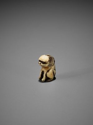 Lot 349 - A RARE MINIATURE IVORY SAGEMONO SET DEPICTING SHISHI AMONG PEONY, WITH EN SUITE NETSUKE AND OJIME