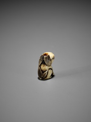 Lot 349 - A RARE MINIATURE IVORY SAGEMONO SET DEPICTING SHISHI AMONG PEONY, WITH EN SUITE NETSUKE AND OJIME
