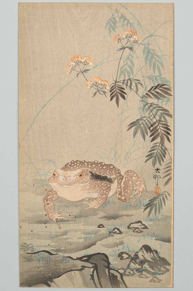 Lot 226 - OHARA KOSON: A TOAD ON THE FOREST GROUND