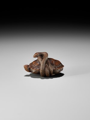 Lot 361 - A YAMADA SCHOOL WOOD NETSUKE OF A SNAKE COILED AROUND A TORTOISE