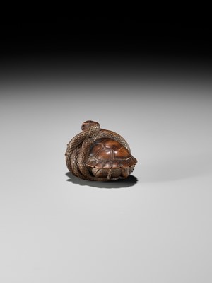 Lot 361 - A YAMADA SCHOOL WOOD NETSUKE OF A SNAKE COILED AROUND A TORTOISE
