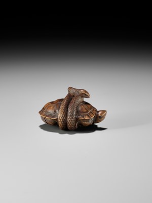 Lot 361 - A YAMADA SCHOOL WOOD NETSUKE OF A SNAKE COILED AROUND A TORTOISE