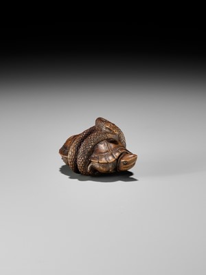 Lot 361 - A YAMADA SCHOOL WOOD NETSUKE OF A SNAKE COILED AROUND A TORTOISE