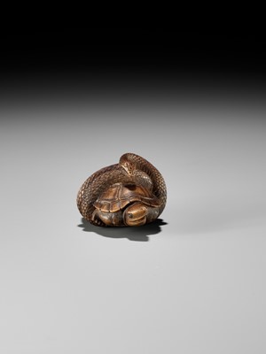 Lot 361 - A YAMADA SCHOOL WOOD NETSUKE OF A SNAKE COILED AROUND A TORTOISE