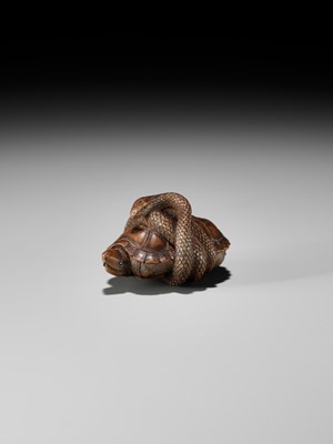 Lot 361 - A YAMADA SCHOOL WOOD NETSUKE OF A SNAKE COILED AROUND A TORTOISE