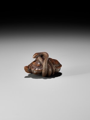 Lot 361 - A YAMADA SCHOOL WOOD NETSUKE OF A SNAKE COILED AROUND A TORTOISE