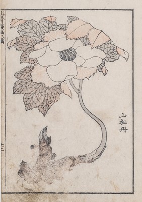 Lot 328 - KATSUSHIKA HOKUSAI (1760 – 1849): MANGA WOODBLOCK PRINT