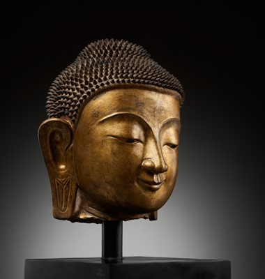 Lot 1508 - A LARGE GILT DRY LACQUER HEAD OF BUDDHA, SHAN STYLE, BURMA, 19TH CENTURY