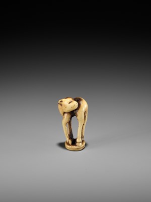 Lot 197 - AN ANTLER INGYO (SEAL) NETSUKE OF A STAG