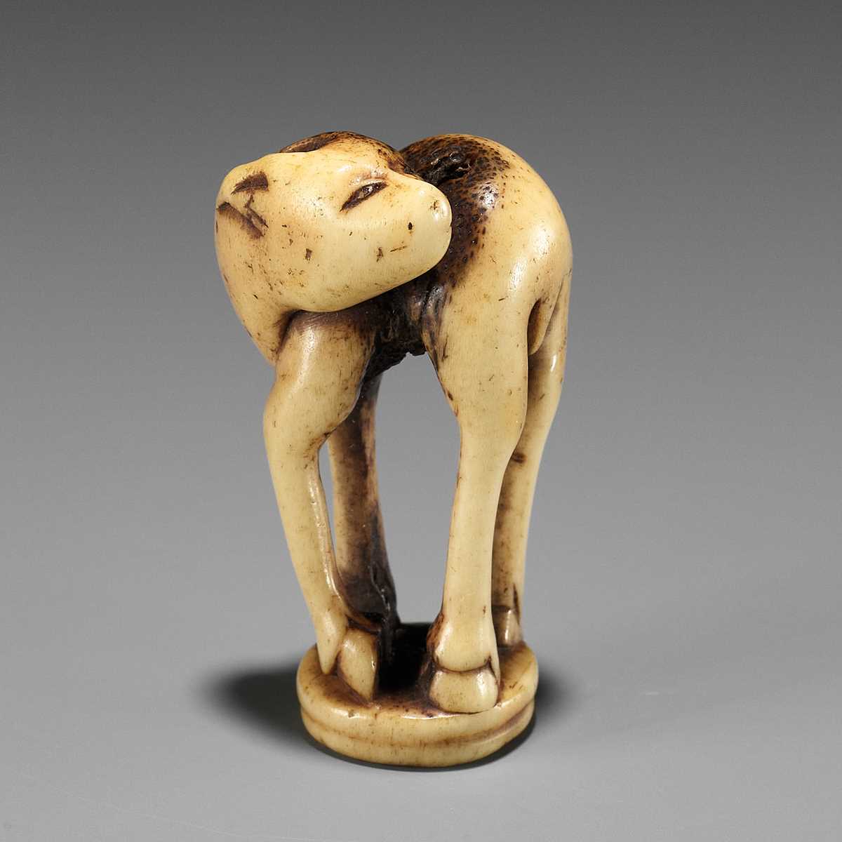 Lot 197 - AN ANTLER INGYO (SEAL) NETSUKE OF A STAG