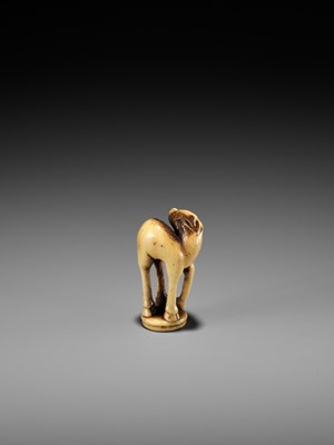 Lot 197 - AN ANTLER INGYO (SEAL) NETSUKE OF A STAG