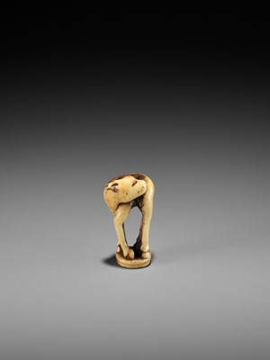 Lot 197 - AN ANTLER INGYO (SEAL) NETSUKE OF A STAG