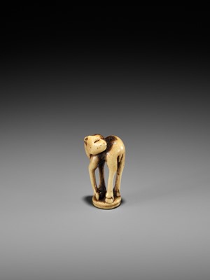 Lot 197 - AN ANTLER INGYO (SEAL) NETSUKE OF A STAG