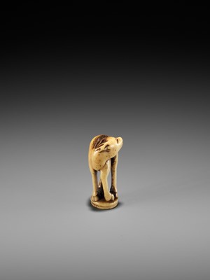 Lot 197 - AN ANTLER INGYO (SEAL) NETSUKE OF A STAG