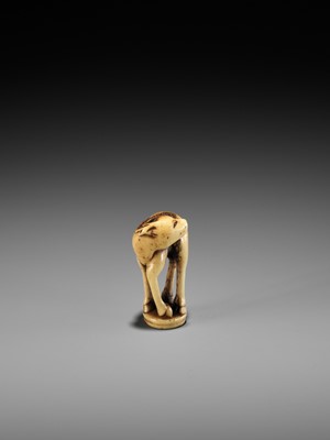 Lot 197 - AN ANTLER INGYO (SEAL) NETSUKE OF A STAG
