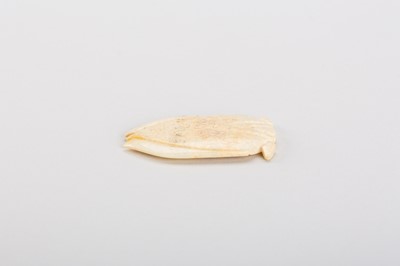 Lot 811 - A JADE TONGUE AMULET IN THE FORM OF A CICADA, HAN DYNASTY