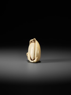 Lot 40 - AN IVORY NETSUKE OF A PEACH WITH INSECTS