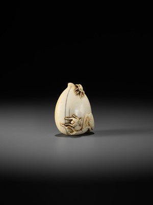 Lot 40 - AN IVORY NETSUKE OF A PEACH WITH INSECTS