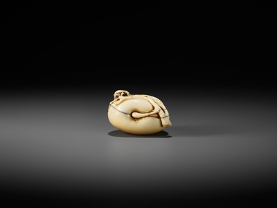 Lot 40 - AN IVORY NETSUKE OF A PEACH WITH INSECTS