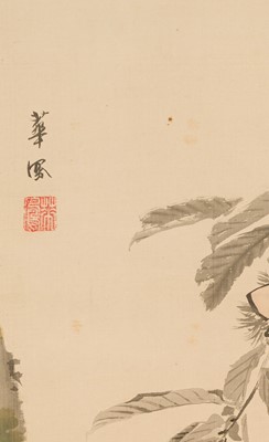 Lot 750 - NAKAJIMA KAHO: A FINE MARUYAMA SCHOOL PAINTING OF A MONKEY UNDER A CHESTNUT TREE