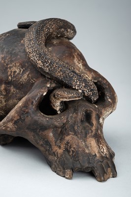Lot 255 - A LIFESIZE CERAMIC MEMENTO MORI OF A SKULL WITH A SNAKE