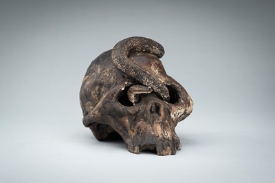 Lot 255 - A LIFESIZE CERAMIC MEMENTO MORI OF A SKULL WITH A SNAKE
