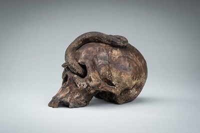 Lot 255 - A LIFESIZE CERAMIC MEMENTO MORI OF A SKULL WITH A SNAKE