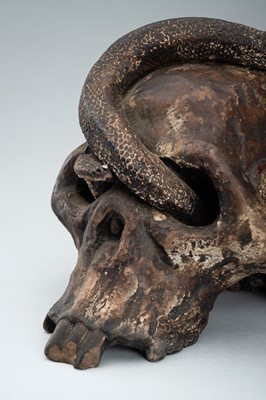 Lot 255 - A LIFESIZE CERAMIC MEMENTO MORI OF A SKULL WITH A SNAKE