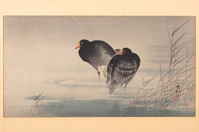 Lot 829 - OHARA KOSON: MOORHENS AMONG REEDS