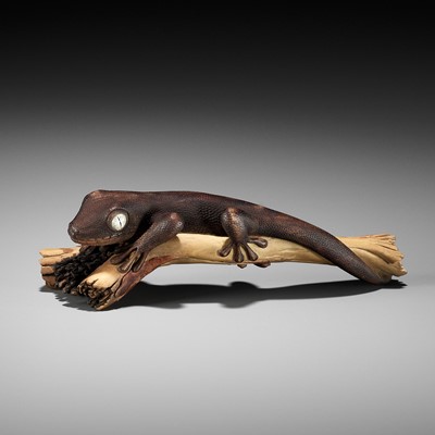 Lot 229 - CORNEL SCHNEIDER: GECKO ON BRANCH