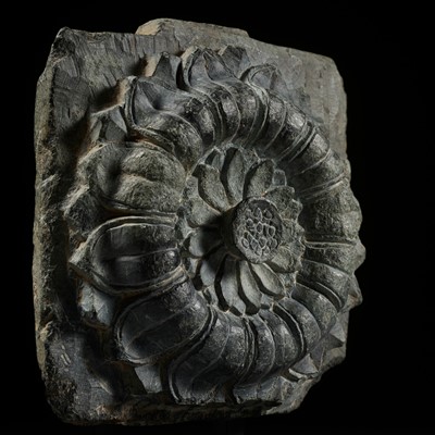Lot 219 - A GRAY SCHIST RELIEF OF A LOTUS FLOWER, ANCIENT REGION OF GANDHARA, 2ND-3RD CENTURY