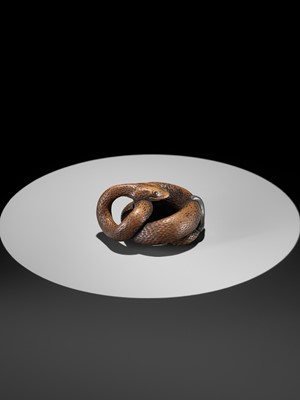 Lot 94 - A LARGE AND POWERFUL WOOD NETSUKE OF A COILED SNAKE WITH AN INLAID SLUG BY TOMOKAZU