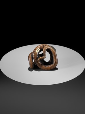 Lot 94 - A LARGE AND POWERFUL WOOD NETSUKE OF A COILED SNAKE WITH AN INLAID SLUG BY TOMOKAZU