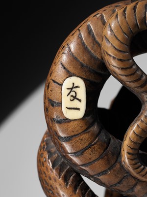 Lot 94 - A LARGE AND POWERFUL WOOD NETSUKE OF A COILED SNAKE WITH AN INLAID SLUG BY TOMOKAZU