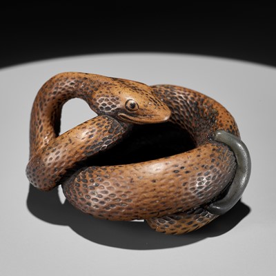 Lot 94 - A LARGE AND POWERFUL WOOD NETSUKE OF A COILED SNAKE WITH AN INLAID SLUG BY TOMOKAZU