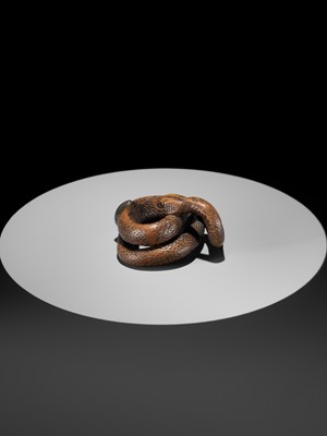 Lot 94 - A LARGE AND POWERFUL WOOD NETSUKE OF A COILED SNAKE WITH AN INLAID SLUG BY TOMOKAZU