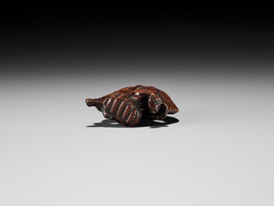 Lot 13 - A POWERFUL WOOD NETSUKE OF A COILED DRAGON