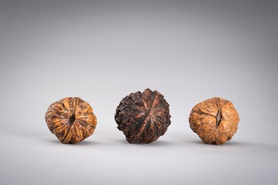 Lot 713 - A GROUP OF THREE WALNUT CARVINGS, c. 19020s