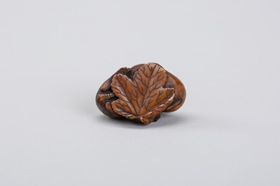 Lot 340 - A RARE COROZO NUT NETSUKE OF A RAT ON A GOURD