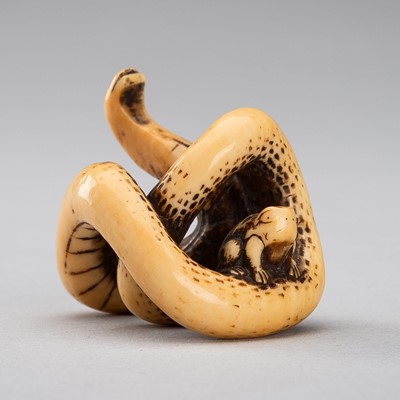 Lot 372 - NOBUKAZU: AN IVORY NETSUKE OF A SNAKE WITH FROG, SANSUKUMI